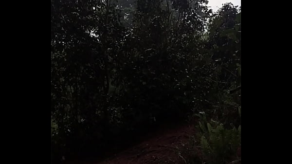 Putita deliciosa camina por el bosque hasta darse de sentones en su dildo